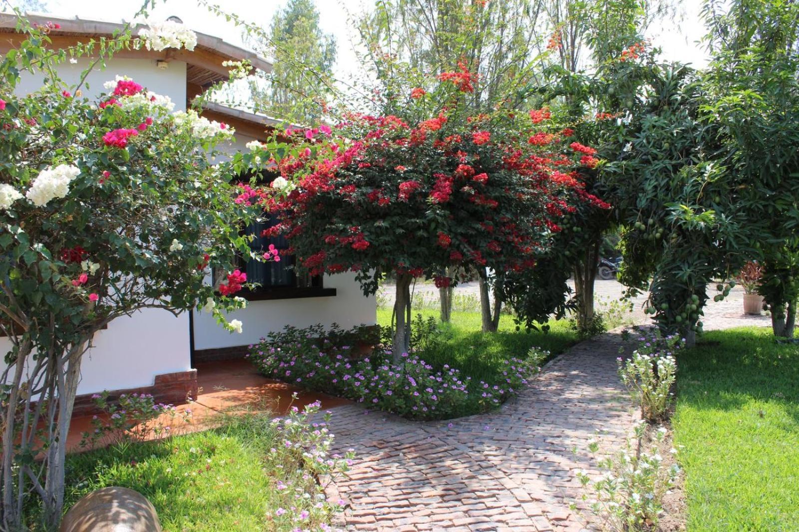 فندق Casa Hacienda Nasca Oasis نازكا المظهر الخارجي الصورة