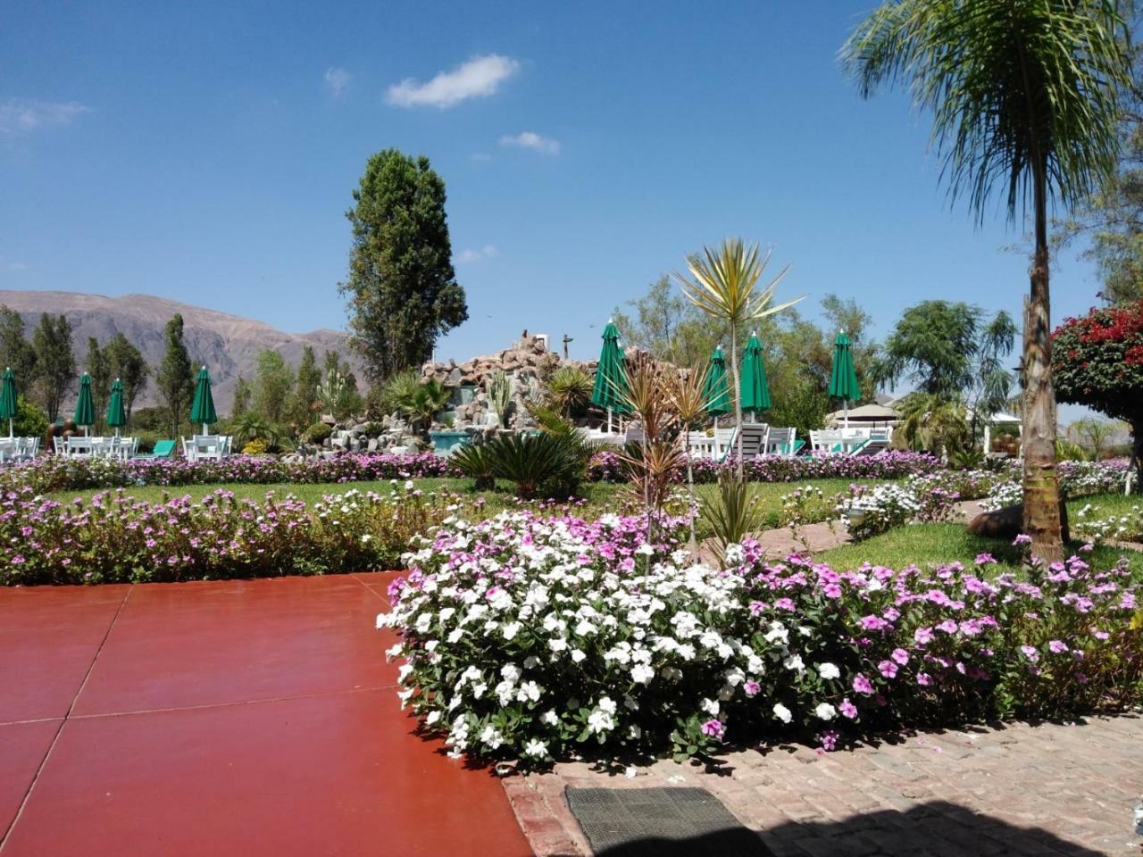 فندق Casa Hacienda Nasca Oasis نازكا المظهر الخارجي الصورة